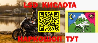 ГАЛЛЮЦИНОГЕННЫЕ ГРИБЫ Камышлов